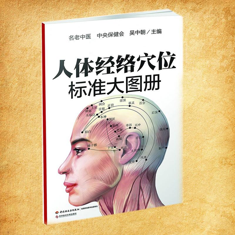 人体经络穴位标准大图册 超清晰 人体经络穴位图解书人体穴位图解大全 中医按摩经络穴位书籍 经络穴位按摩大全养生书正版