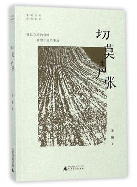 中国当代原创文学作品切莫声张 王掩 著作 文学其它文学 新华书店正版图书籍 广西师范大学出版社