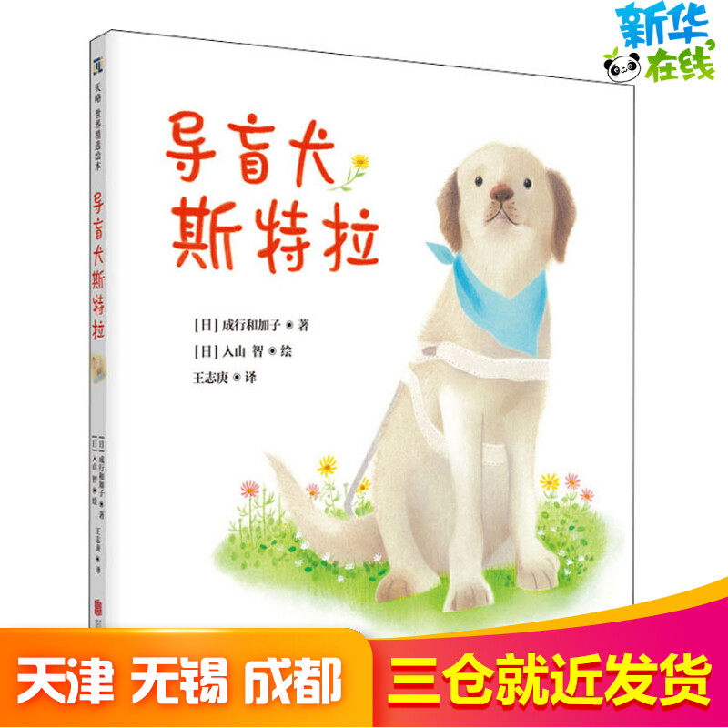 导盲犬斯特拉 (日)成行和加子 著 王志庚 译 (日)入山智 绘 绘本/图画书/少儿动漫书少儿 新华书店正版图书籍 北京联合出版社