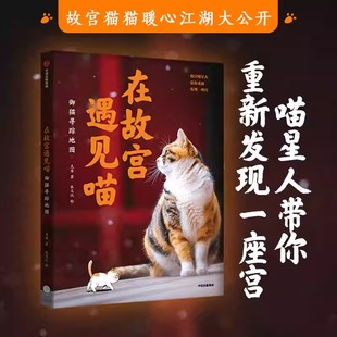 御猫寻踪地图 中信出版 克查等著 精心绘制萌趣御猫漫画附赠猫咪生活小常识 社 故宫寻猫地图大公开 在故宫遇见喵