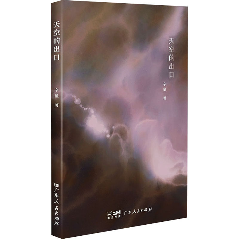 天空的出口 辛星 著 文学其它文学 新华书店正版图书籍 广东人民出版社