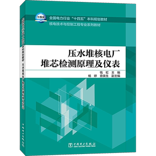 压水堆核电厂堆芯检测原理及仪表 钱虹 编 大学教材专业科技 新华书店正版图书籍 中国电力出版社