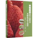 编 社 刘慧超 中国农业科学技术出版 草莓基质栽培关键技术及病虫害综合防控 图书籍 农业基础科学专业科技 等 新华书店正版