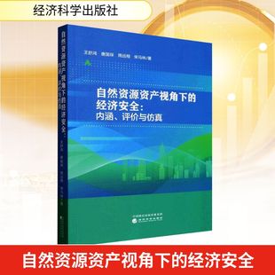 经济理论经管 经济安全 等 自然资源资产视角下 励志 经济科学出版 评价与仿真 图书籍 内涵 社 王舒鸿 新华书店正版 著