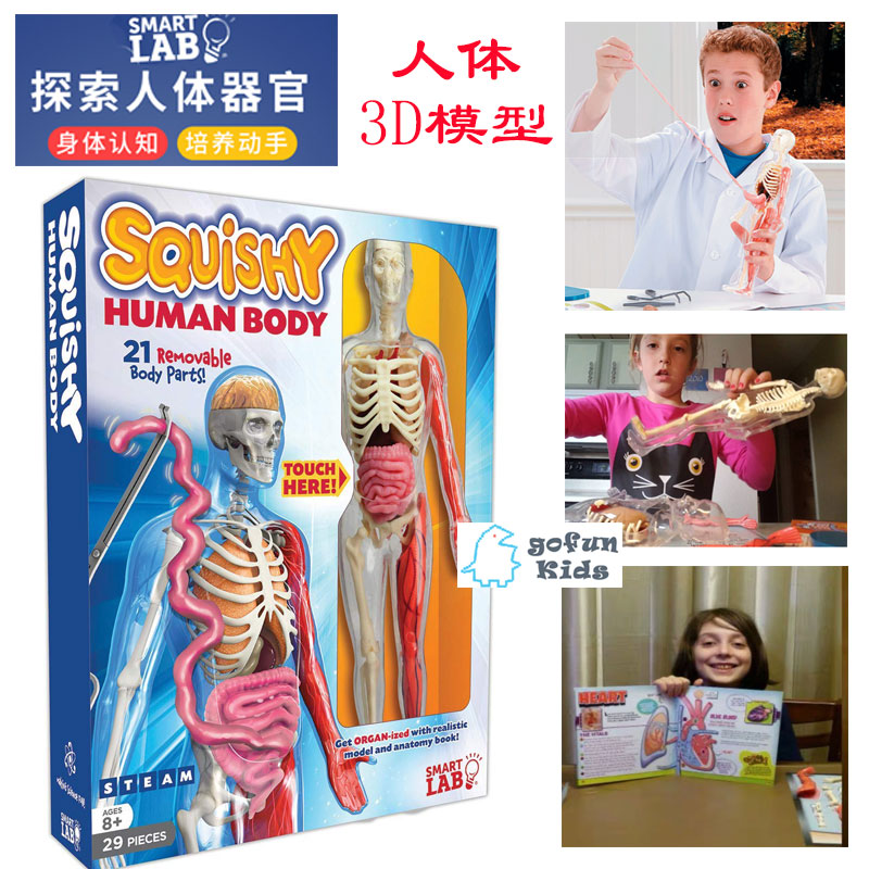 包邮smartlab人体器官
