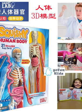 SmartLab Body人体器官3D模型玩具儿童益智探索STEM科学实验
