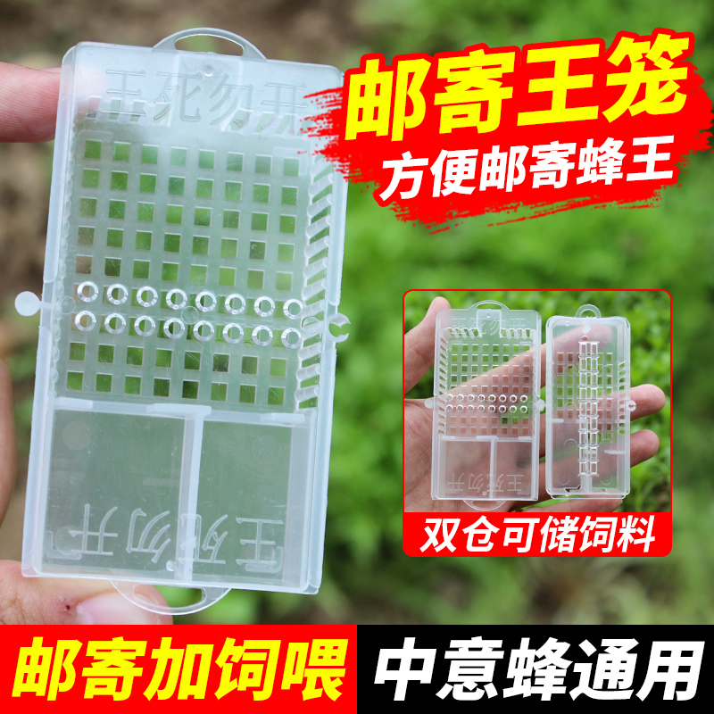 蜂王囚王笼新款邮寄专用储王器大号双仓关扣蜂王器养蜜蜂工具王笼