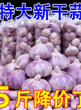 2026年山东金乡紫皮大蒜头特大干蒜多瓣农家蔬菜批发新蒜非鲜蒜