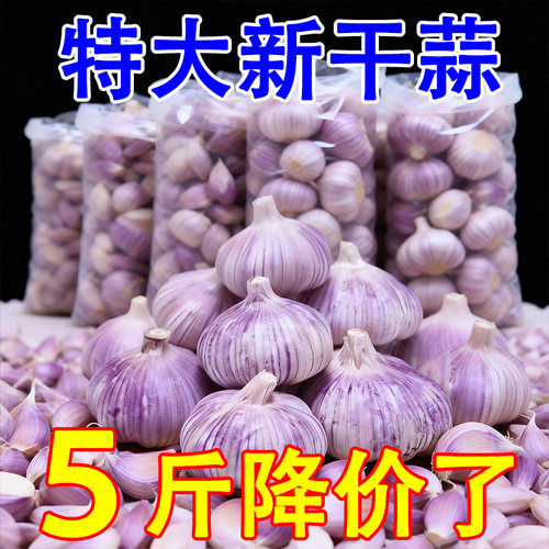 2026年山东金乡紫皮大蒜头特大干蒜多瓣农家蔬菜批发新蒜非鲜蒜
