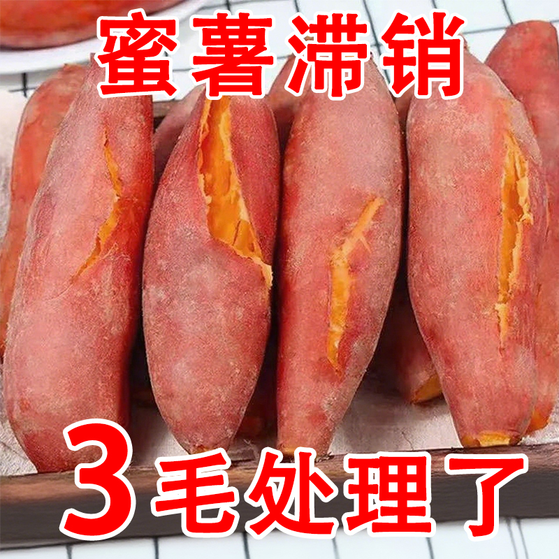 农家老式老品种黄心蜜薯9斤新鲜现挖沙地龙九烤番薯红薯蜜薯地瓜