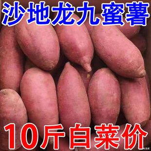 农家自种沙地蜜薯9斤黄红心红薯番薯山芋糖心龙九红薯新鲜烤地瓜