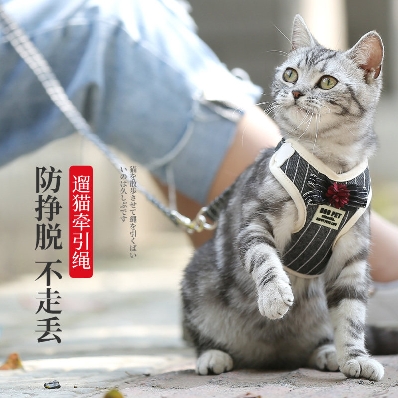 猫咪牵引绳防挣脱胸背带背心式家用狗狗链子遛狗遛猫神器宠物用品