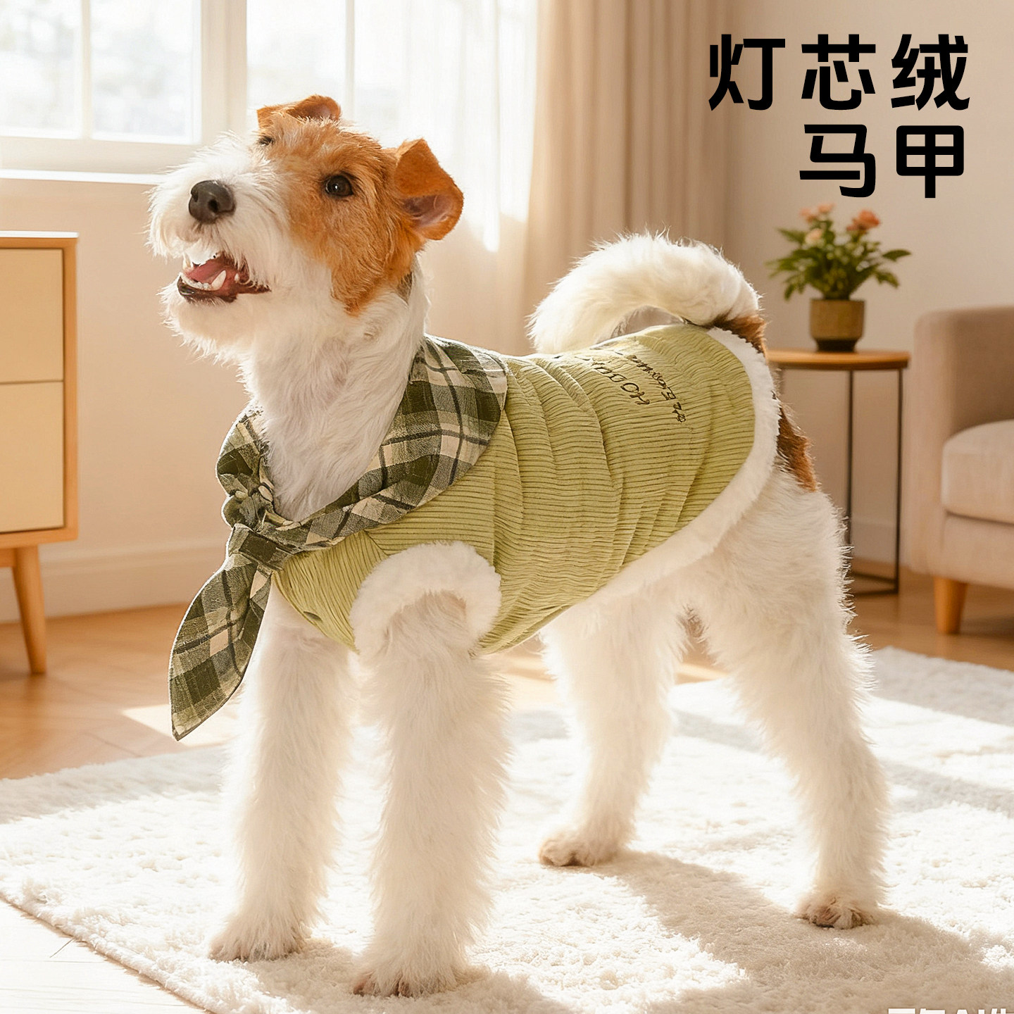 狗狗衣服灯芯绒马甲比熊雪纳瑞防掉毛背心秋冬季保暖猫狗宠物服装