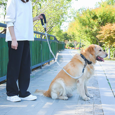 hoopet防爆冲牵引宠物中小型犬