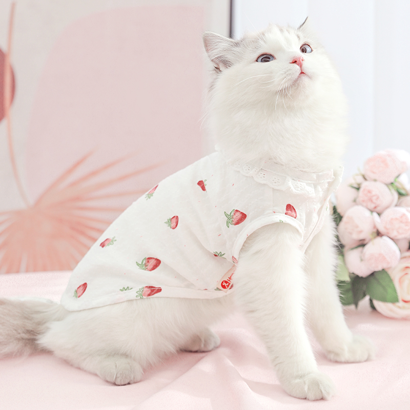 猫咪衣服薄款春秋款宠物背心
