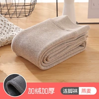 Овсяные носки [прямая полоса плюс бархатный утолщение] -5 ~ 12 °