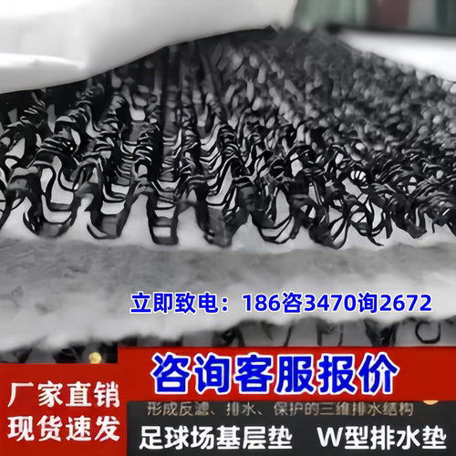 W型麦克排水垫W1061型加筋麦克排水垫 三维网护坡足球场基层垫