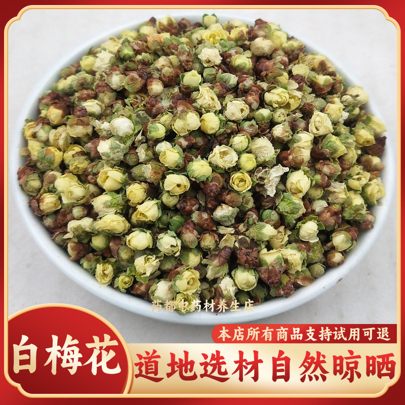 精选安徽白梅花绿萼梅新鲜干货