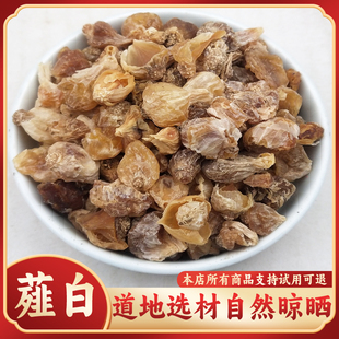 正品薤白中药材薤白头泻白薤白粉非特级野生新鲜货野蒜山蒜小野蒜