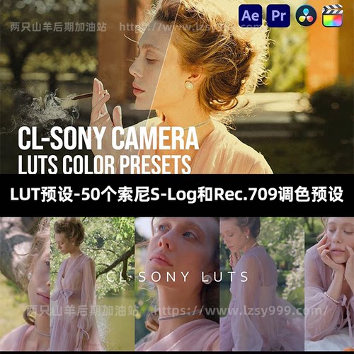 LUT预设-50个热门索尼相机S-Log和Rec.709调色预设PR/FCPX/AE调色