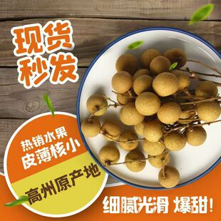 新鲜水果当季现摘发货，高州产地 石夹龙眼，有钱人买来吃首选