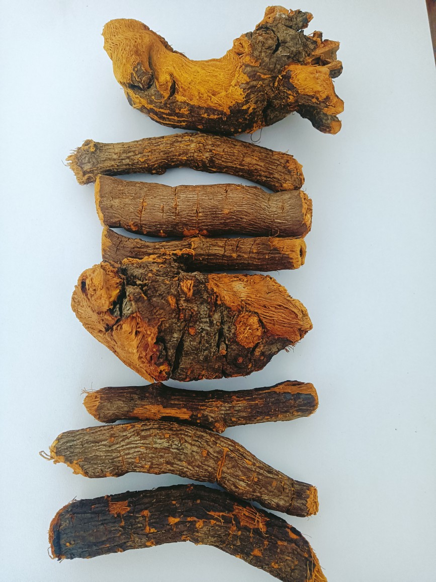 虎杖多年生虎杖老根泡酒专用跌打损伤消肿止痛毒蛇蚊虫叮咬外用