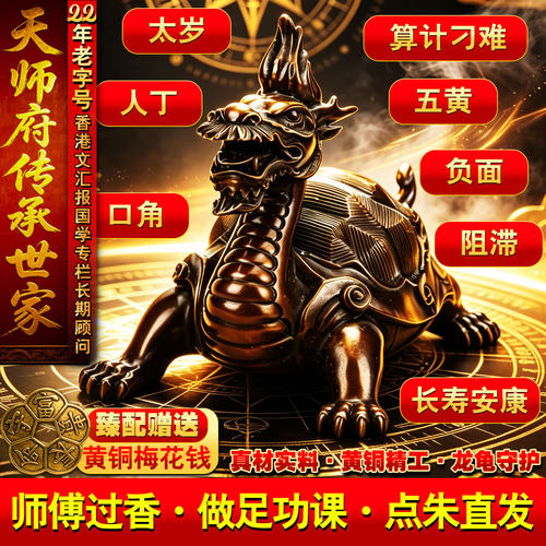 慈风阁黄铜龙龟送梅花钱