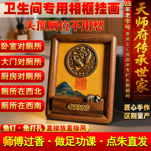荷花鲤鱼图铜避水兽免钉厕所相邻莲花净秽厕所卫生间装饰挂画相框