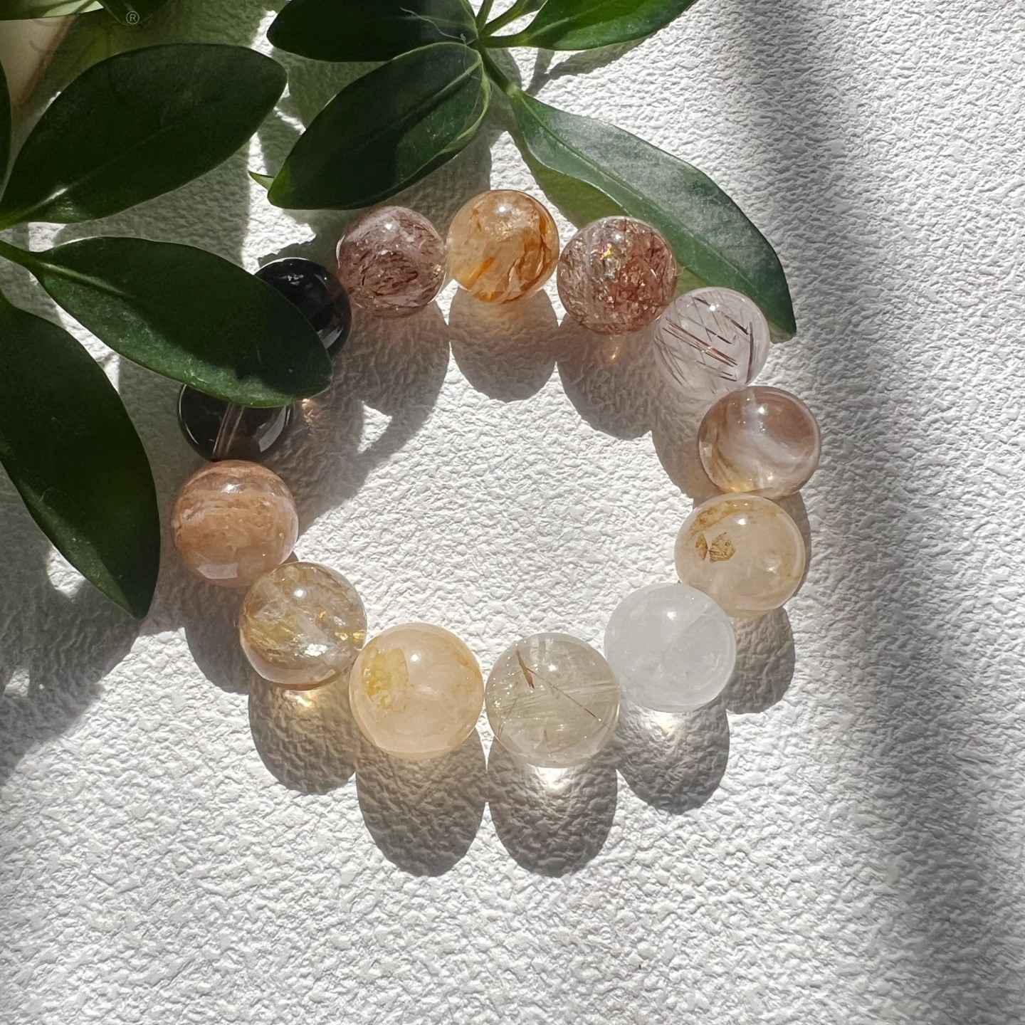 金发晶胶花千层幽灵黑金超黄水晶