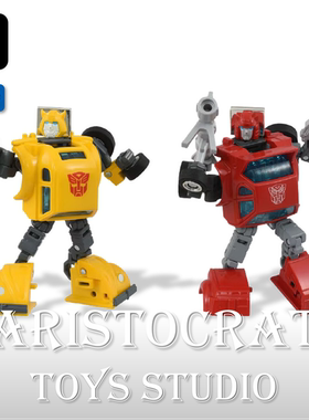 TAKARA 变形金刚 失落节点 C09 大黄蜂飞过山套装动画色  现货