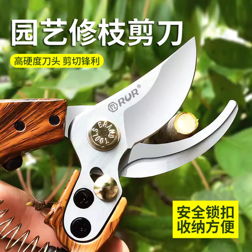 修枝剪园艺剪刀剪树枝专用剪刀粗枝剪园林修剪果树修枝花艺修花剪