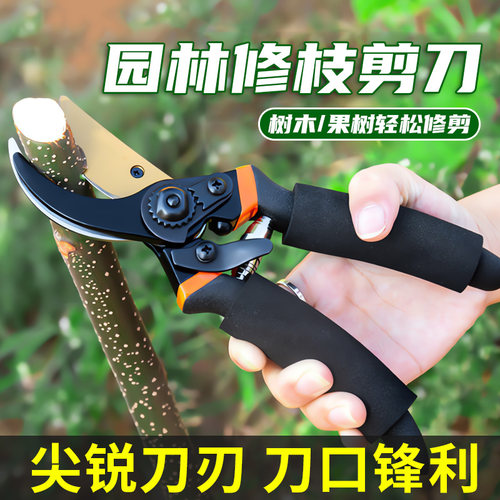 户外剪枝剪刀园林花艺修剪树枝剪刀果树剪刀粗大花剪园艺剪子工具