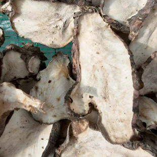 2025年新货洋姜干农家晒干脱水蔬菜干货菊芋片干鬼子姜金钱芋烘干