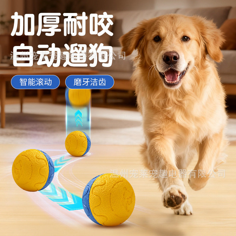 跨境新品宠物玩具球ETPU智能训狗球狗狗宠物球高弹力耐咬磨牙狗球