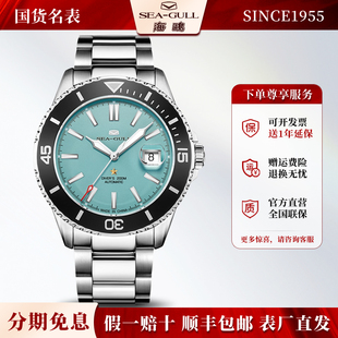 海鸥表男士运动海洋潜水防水夜光全自动机械表手表男表男款1523A