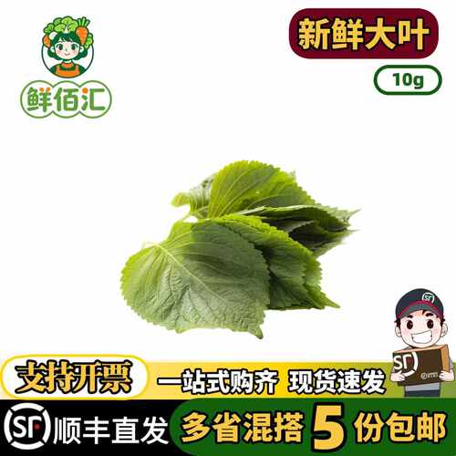 云南新鲜紫苏叶大叶刺身西餐摆盘