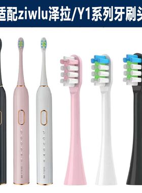 适配于ziwlu泽拉Y1系列电动牙刷可替换刷头成人通用软毛刷头