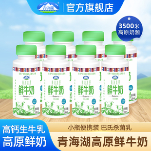 青海湖高原鲜牛奶230ml 8瓶低温营养生牛乳巴氏杀菌儿童早餐牛奶