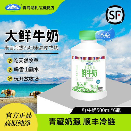 青海湖青海高原鲜牛奶500ml*6瓶巴氏杀菌低温纯鲜活青藏高原鲜奶