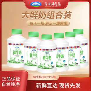 青海湖青海高原鲜牛奶500ml*6瓶巴氏杀菌低温纯鲜活青藏高原鲜奶