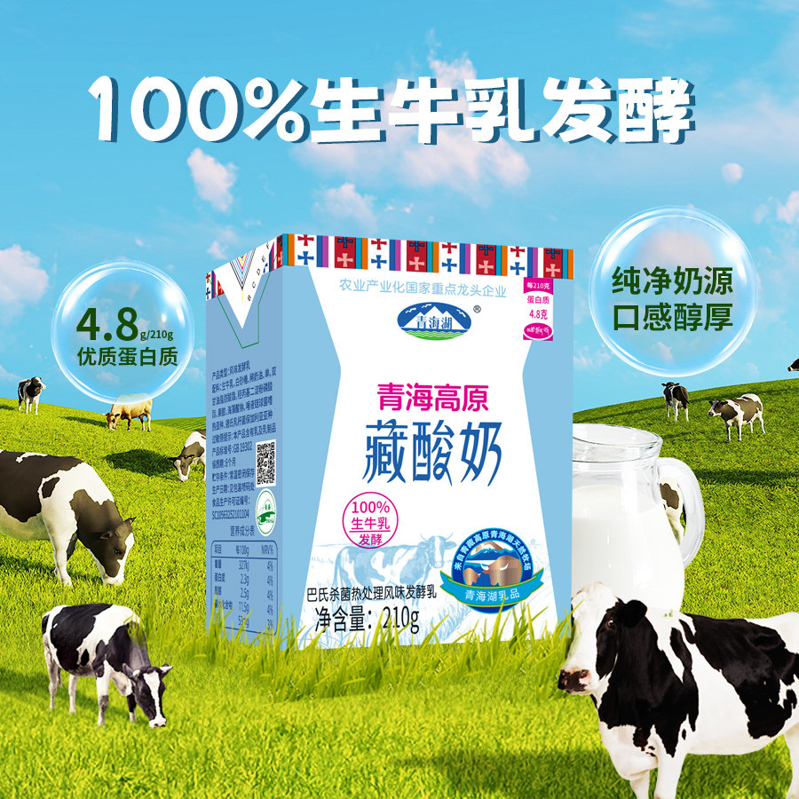 青海湖娟姗牧场高原藏酸奶整箱210g*10盒青海特产常温牛奶发酵乳