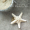 Starfish (natural products are not refundable or exchangeable)