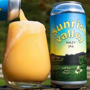 怒推 新西兰高分车库计划延龄草合酿浑浊双倍帝国ipa精酿啤酒罐装