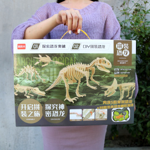 儿童拆装 玩具考古手工DIY仿真恐龙化石幼儿园礼物培训班送礼品盒