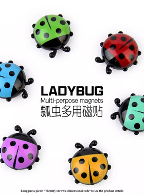 可爱七星瓢虫冰箱装饰品创意立体吸铁石磁贴儿童写字板黑板留言贴