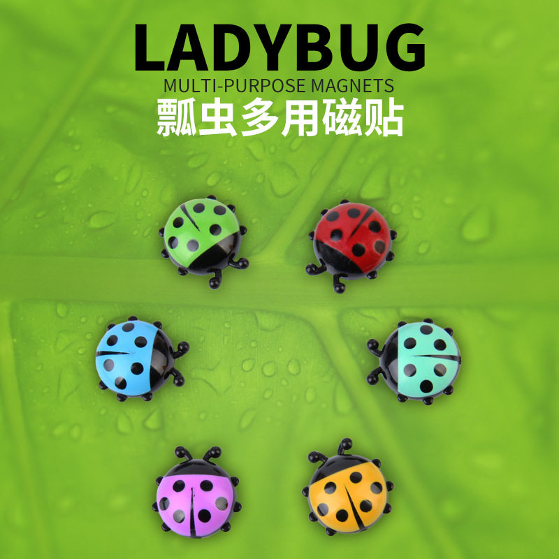 冰箱磁铁冰箱贴超萌动物创意塑料迷你瓢虫磁性冰箱贴卡通留言磁贴