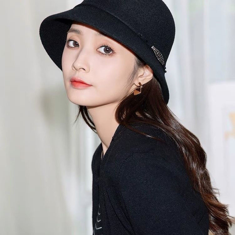 羊毛帽子女秋冬高级感显脸小帽子女款2024新款冬天时尚潮流渔夫帽