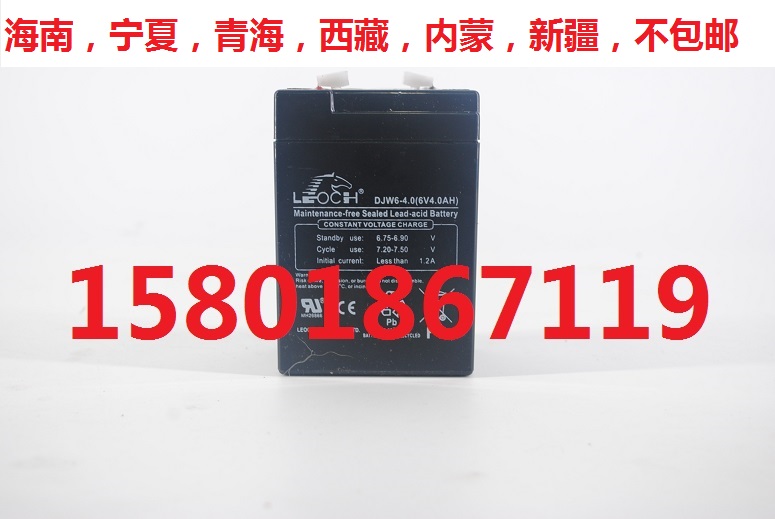 蓄电池江苏电子秤理士