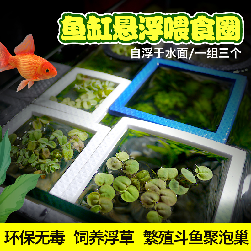 组合漂浮喂食饲料圈养斗鱼