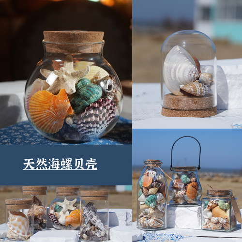 天然海螺贝壳装饰品威海旅游文创